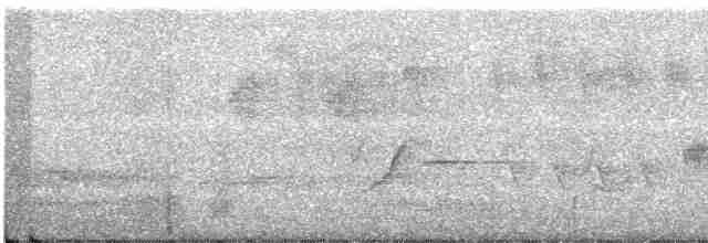 Troglodyte de Baird - ML462565711