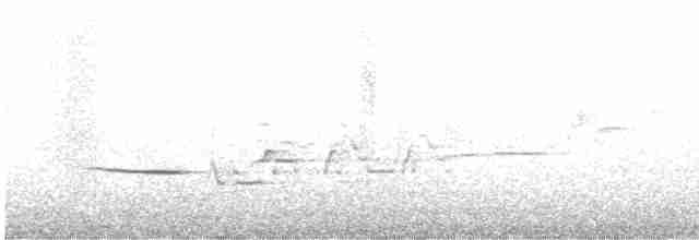 Дрізд-короткодзьоб плямистоволий - ML462574191