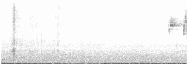Greenish Warbler - ML462607981