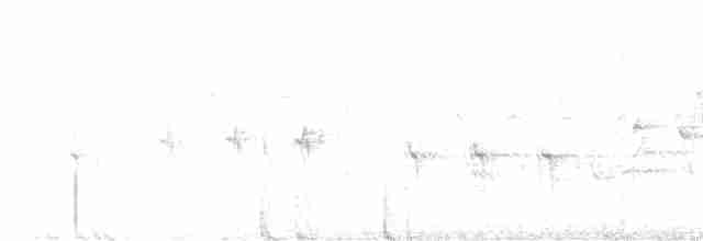 Шишкар ялиновий - ML462617271