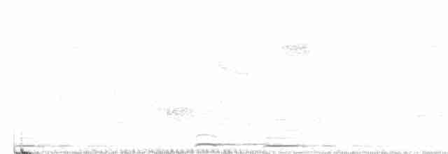 Common Cuckoo - ML462619051