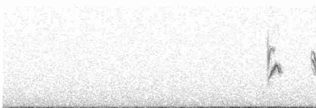 Black-winged Snowfinch - ML462687941