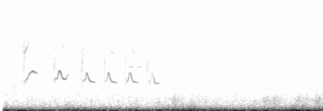fjellrosenfink (severtzovi gr.) (flekkrosenfink) - ML462697431