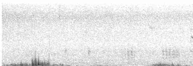 Great Reed Warbler - ML462714341