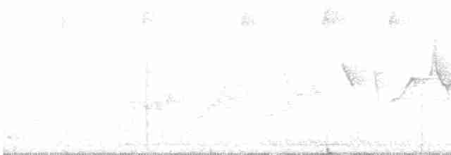 Ошейниковая канделита - ML462716261