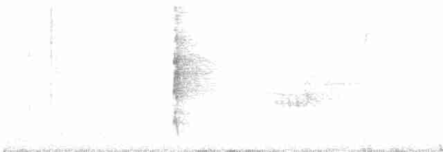 Пестрогрудый лесовик - ML462717811