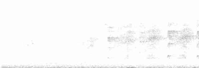 Пестрогрудый лесовик - ML462717821