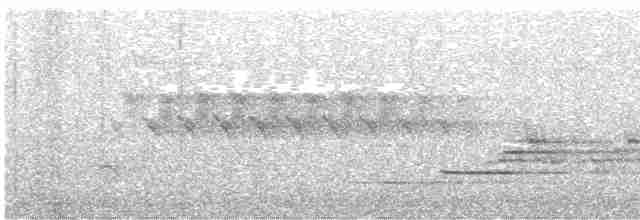 Дрізд-короткодзьоб плямистоволий - ML462744241