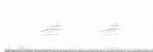 Дрізд-короткодзьоб плямистоволий - ML462783431