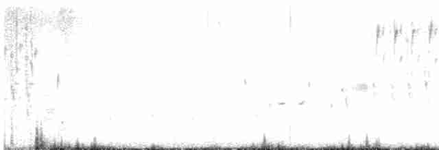 Marsh Wren (griseus) - ML462785531