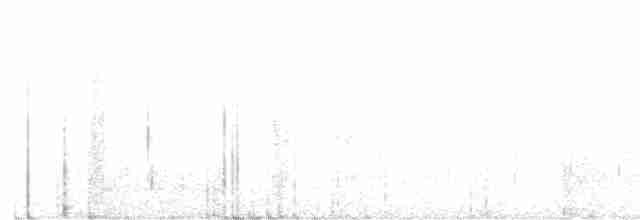 holub kouřový - ML462838481