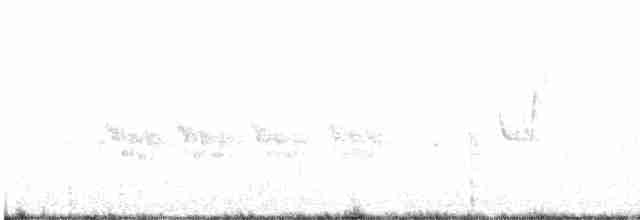 Галапагосский мухолов (nanus) - ML462885091