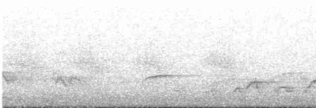 Тихоокеанский крапивник - ML462894531