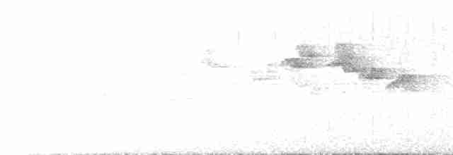 Gray-sided Bush Warbler - ML462913351