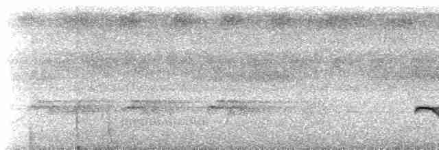 Manicore Karıncakuşu - ML462952151