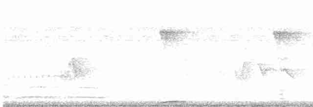 Карибский момот [группа subrufescens] - ML462970321