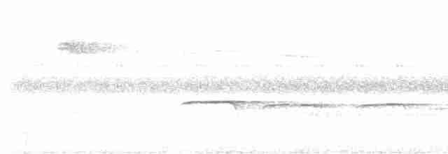 Kordiyera Azul Karıncakuşu - ML463021221