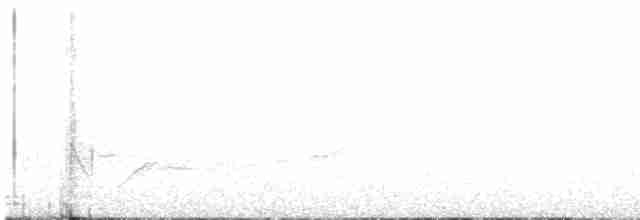 Batı Amerika Sinekkapanı (occidentalis/hellmayri) - ML463087181