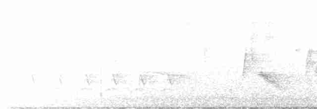 White-eyed Vireo - ML463102671