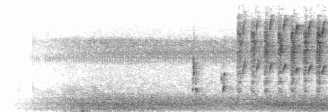 Troglodyte des marais - ML463167621