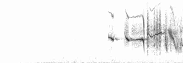 Traquet motteux (oenanthe/libanotica) - ML463334121