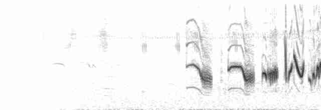 Txoriandre pispoleta turkestandarra - ML463353351