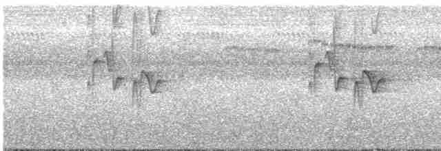 Gray-hooded Warbler - ML463412111