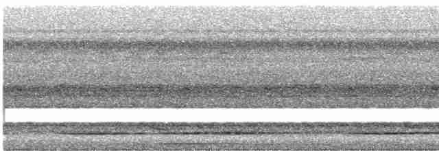 Great Tinamou - ML463450001