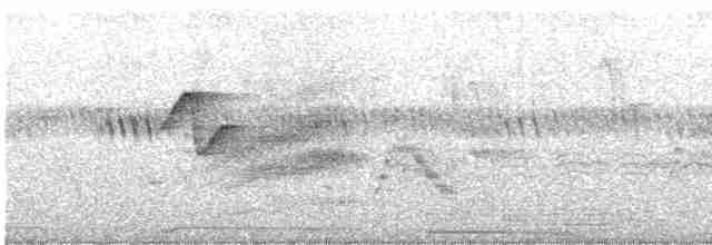 Batı Amerika Sinekkapanı (occidentalis/hellmayri) - ML463479371