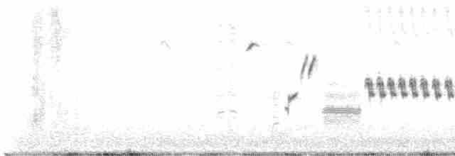 Black-throated Sparrow - ML463559911