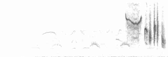 Tamariskengrasmücke - ML463593191