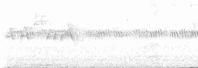 Plumbeous Vireo - ML463603531