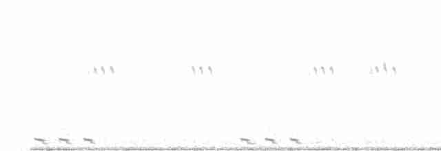 Black-billed Cuckoo - ML463606871