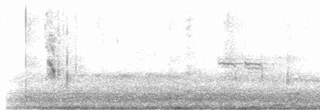 黑腹燕鷗 - ML463663101