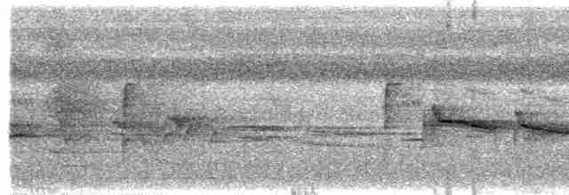 Gray-headed Babbler - ML463670651