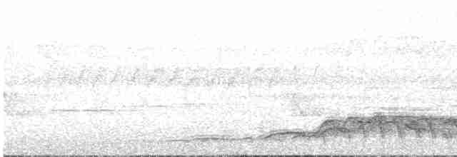 White-necked Laughingthrush - ML463676301