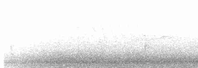Ивовый мухолов - ML463735081