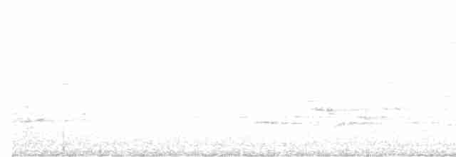 Дрізд-короткодзьоб плямистоволий - ML463839341