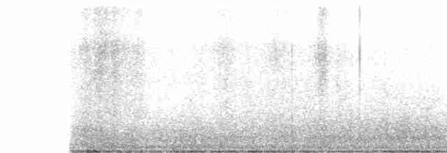 Weißscheitel-Kleintyrann (subcristata/straminea) - ML463856471