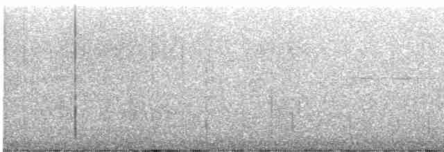 Hermit Thrush (guttatus Group) - ML463872491
