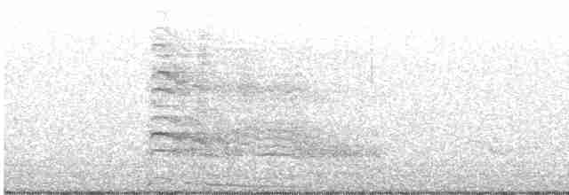 Spotted Towhee (oregonus Group) - ML463874781