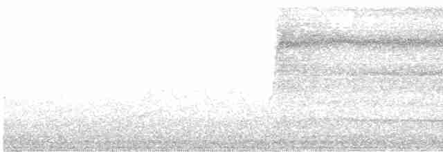Сова яструбина - ML463894401
