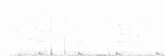 Watercock - ML463896031