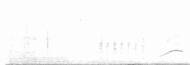 Кропив’янка єменська - ML463960921