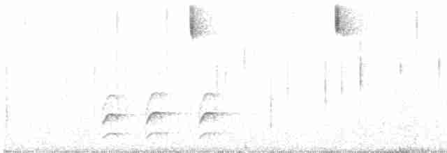 Бледнохвостый венценосец - ML463972061
