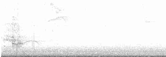 Russet-crowned Crake - ML464161521