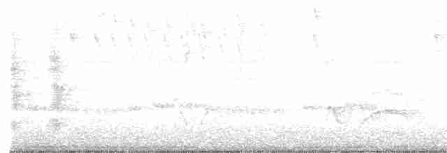 Russet-crowned Crake - ML464161681
