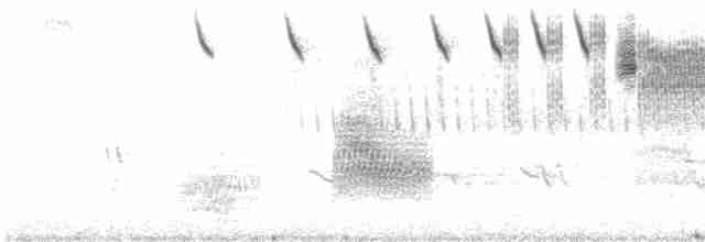 strnadec luční [skupina sandwichensis] - ML464299741