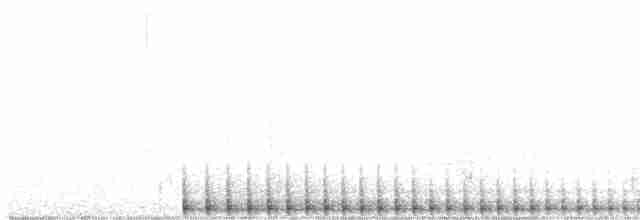 Pileated Woodpecker - ML464381401