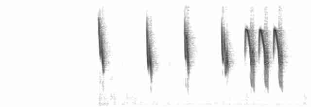 Тростниковый крапивник - ML46442101